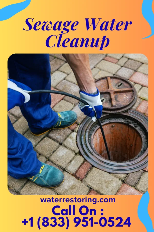 Sewage Water Cleanup in Orchard, IA