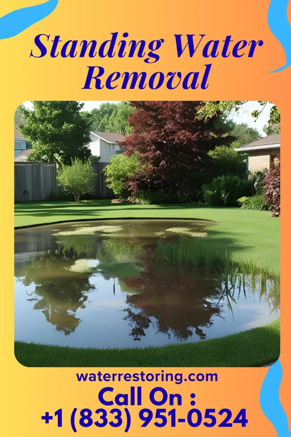 Standing Water Removal in Orchard, IA